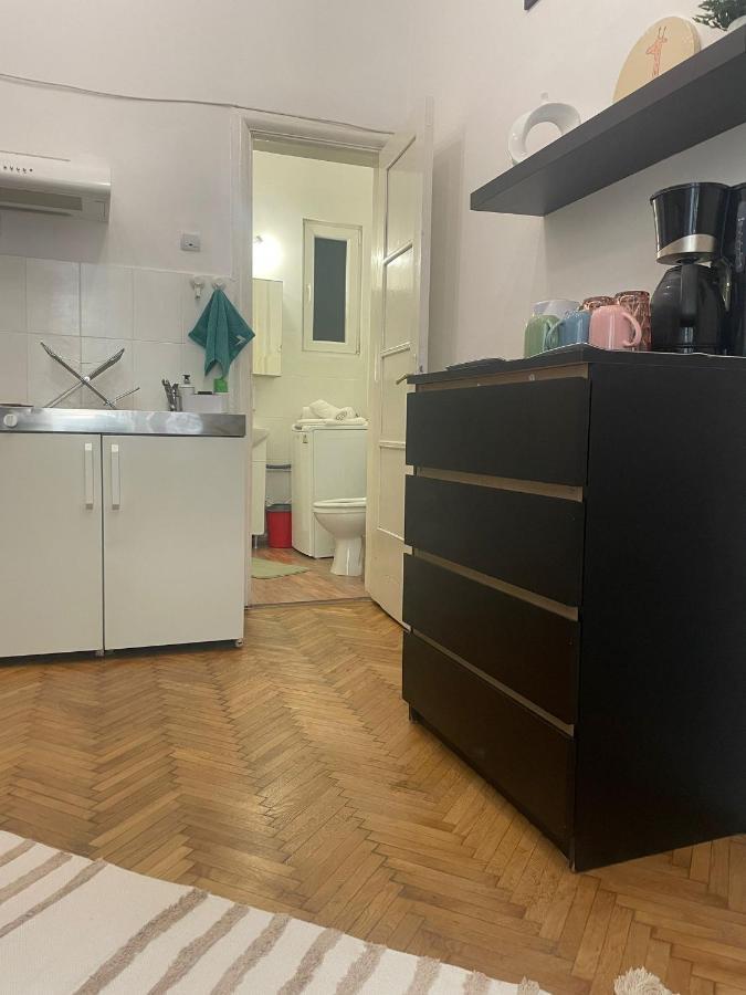 Апартаменти Cozy Studio Near Cismigiu Park Бухарест Екстер'єр фото